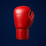 MMA